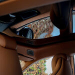 img-ferrari-purosangue-pre-owned-car-6721-20
