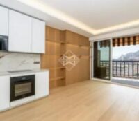 FOR SALE – FULLY RENOVATED APARTMENT – MONTE-CARLO..
