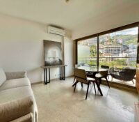 FOR RENT – BRIGHT STUDIO WITH TERRACE – L’ANNONCIA..