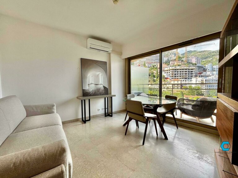 FOR RENT – BRIGHT STUDIO WITH TERRACE – L’ANNONCIA..