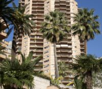FOR RENT – PARC SAINT ROMAN – 2 ROOMS WITH TERRACE..