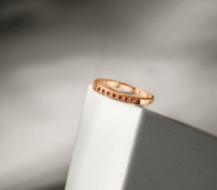 FOR SALE – EXPLORER RING ORANGE

Price (incl. VAT)..