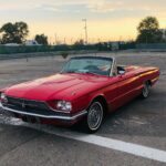 Thunderbird-e1708077238296-1