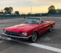 FOR RENT – FORD THUNDERBIRD (1966) – 315 hp
Year: ..