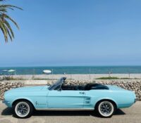 FOR RENT – FORD MUSTANG V8 289Ci (1967) – 200 hp
Y..