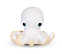 ORLANDO THE OCTOPUS – OLI & CAROL

Price: €21.90 (..