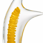 pinna_objet_zoom_jaune.png