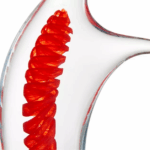 pinna_objet_zoom_rouge.png