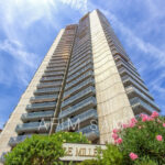 MILLEFIORI – Image 8