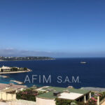 AMBASSADOR – Image 13