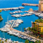 BOTTICELLI – Image 1