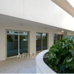 LE GRAND IDA  – Image 3