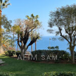 PARC SAINT ROMAN – Image 2