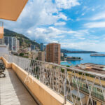 PALAIS DE LA TERRASSE – Image 7