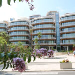 ONE MONTE CARLO  – Image 1