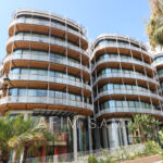 ONE MONTE CARLO – Image 4