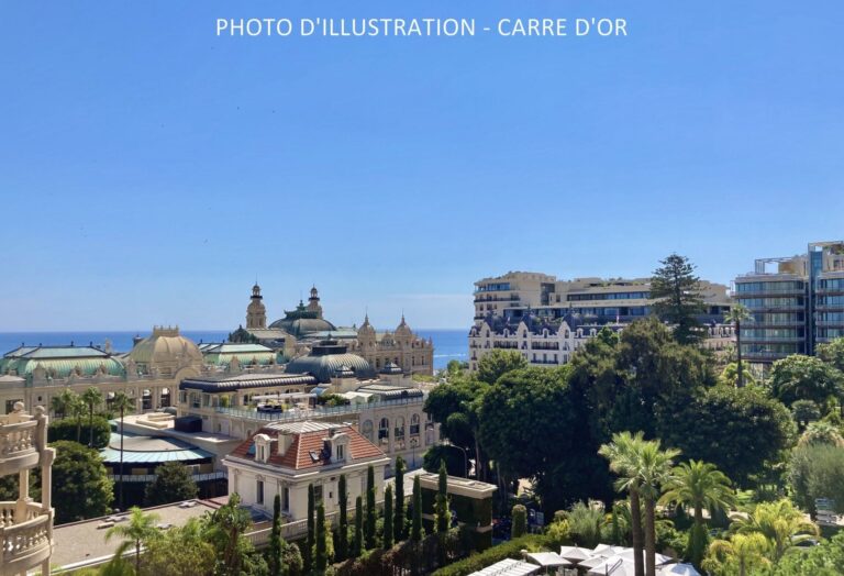 FOR RENT – PALAIS SAINT JAMES – SECURE CELLAR IN C..