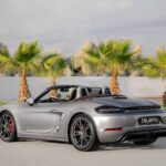 Porsche-Boxster-GTS-Back