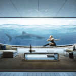 01_FEADSHIP_Ocean-Gallery
