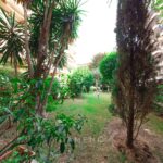 Apartment to renovate in the heart of the Carré d’Or – Résidence Les Acanthes – Gallery 8