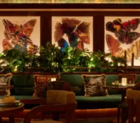 Celebrate New Year’s Eve at Amazónico Monte-Carlo