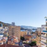 MIELLS-apartment-monaco-renovated-and-furnished-2-bedroom-apartment-sea-mountain-and-city-views-louer-MP-2513-107737.jpg
