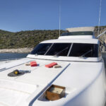 andilis_bow_1