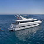 andilis_profile_3