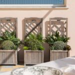 Sea view Belle Epoque apartment – Gallery 9