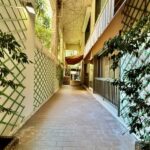 img-1900-2-1756803306