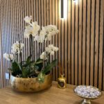 img-6215-1759503560-1