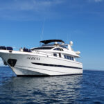 AlehnaatSea4