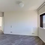 cf8509c12d7bbe8bbeccc300f38e30a3