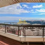 img-3191-2-1739951926