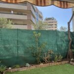 img-4718-1757583794