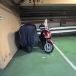 img-8226-1740149286