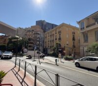 FOR SALE – COMMERCIAL BUSINESS – JARDIN EXOTIQUE D..