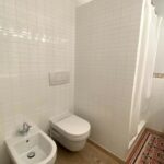 4botticelli-picture-1748420158