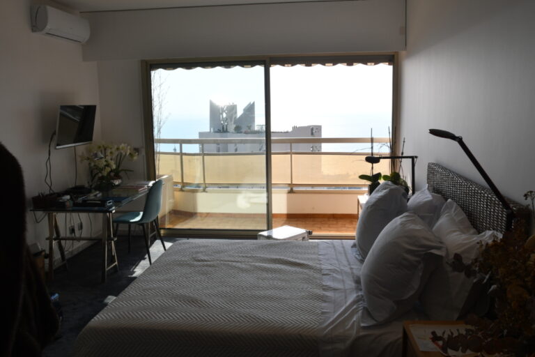 FOR SALE – BRIGHT STUDIO IN LES LIGURES RESIDENCE
..