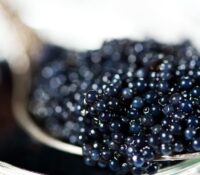 World Caviar Awards – Monaco 2025