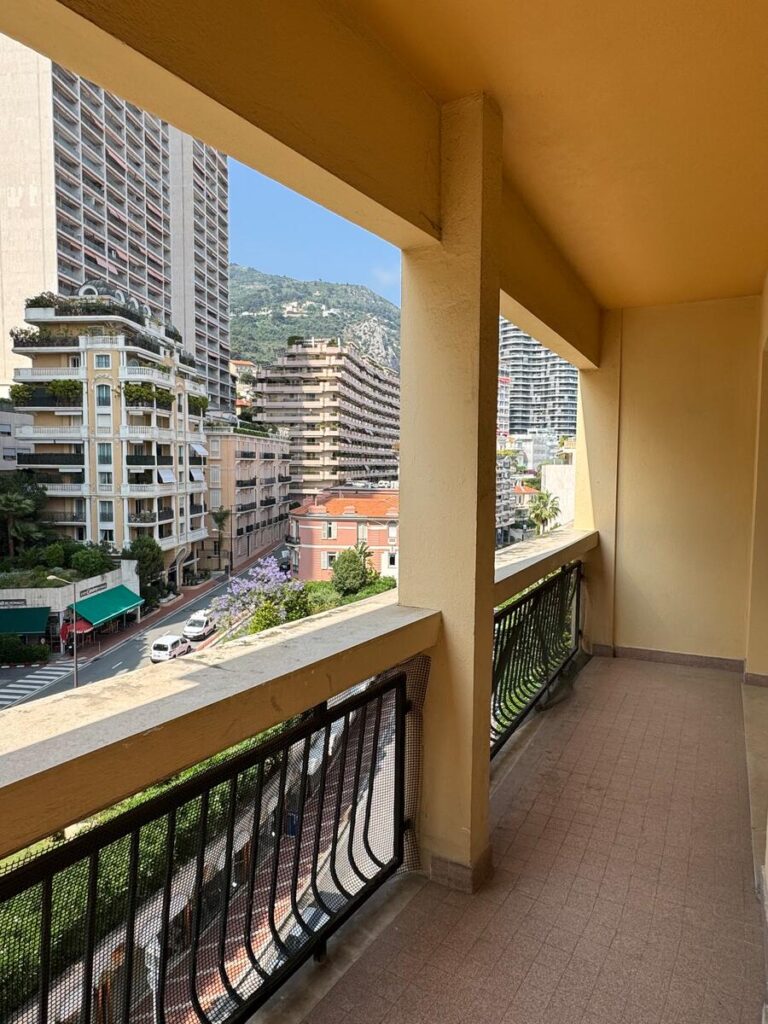 FOR SALE – LE CALYPSO – FULLY RENOVATED 3-ROOM APA..