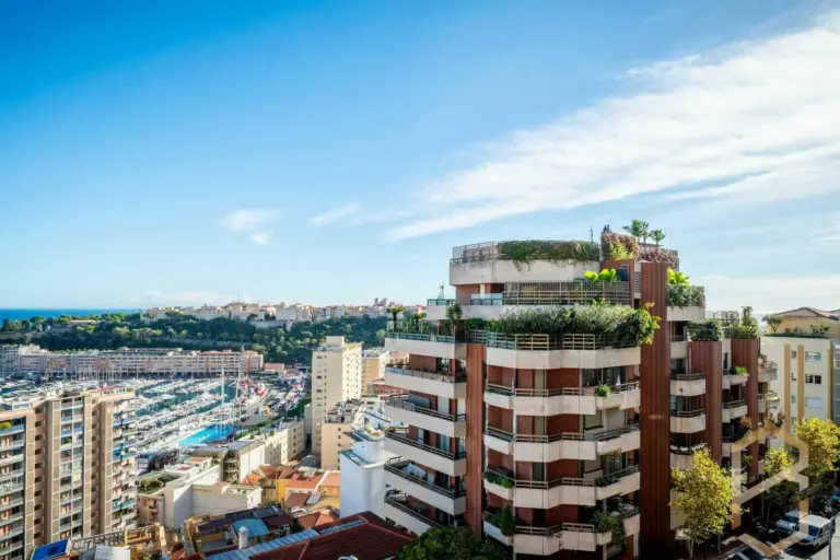 FOR SALE – GOLDEN SUN – CELLAR – EXCLUSIVE
Price: ..