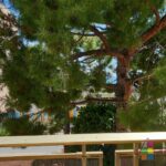 wa-images-biens-1-d2ebcbc4ccf8b217035a363688284af2-photo_bc08ffc9951a5f5f22cbdbd3d47d3f96-1