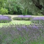 268d7cc89e308231ac0735ae3a988c54_8610488746_1000-original