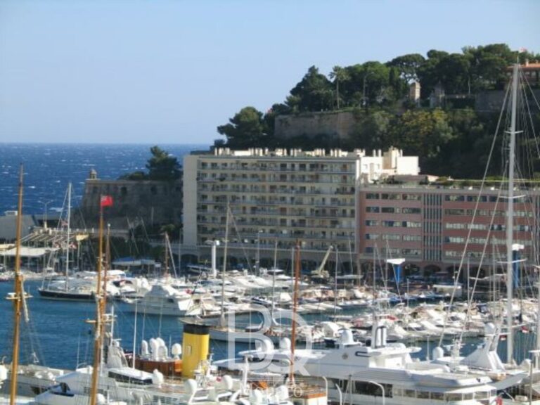 FOR RENT – PORT HERCULE – 3-ROOM APARTMENT (RUSCIN..