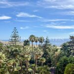 b805efe7dd80f40ddbf3ac1531b2280c_a3338fcdaa_3200-original