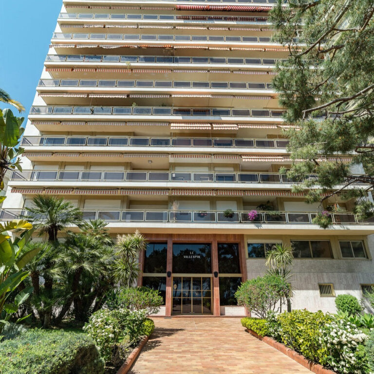 FOR SALE – LA ROUSSE / SAINT ROMAN – VALLESPIR – 3..