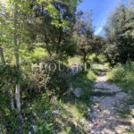 Non-buildable plot of land of 3.063 sqm with direct access and panoramic view up to the sea – Gallery 2