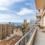 PALAIS DE LA TERRASSE – Image 9