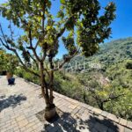 Ideally located in Gorbio, for sale independent house with great building land and several possibilities of extension – Gallery 5